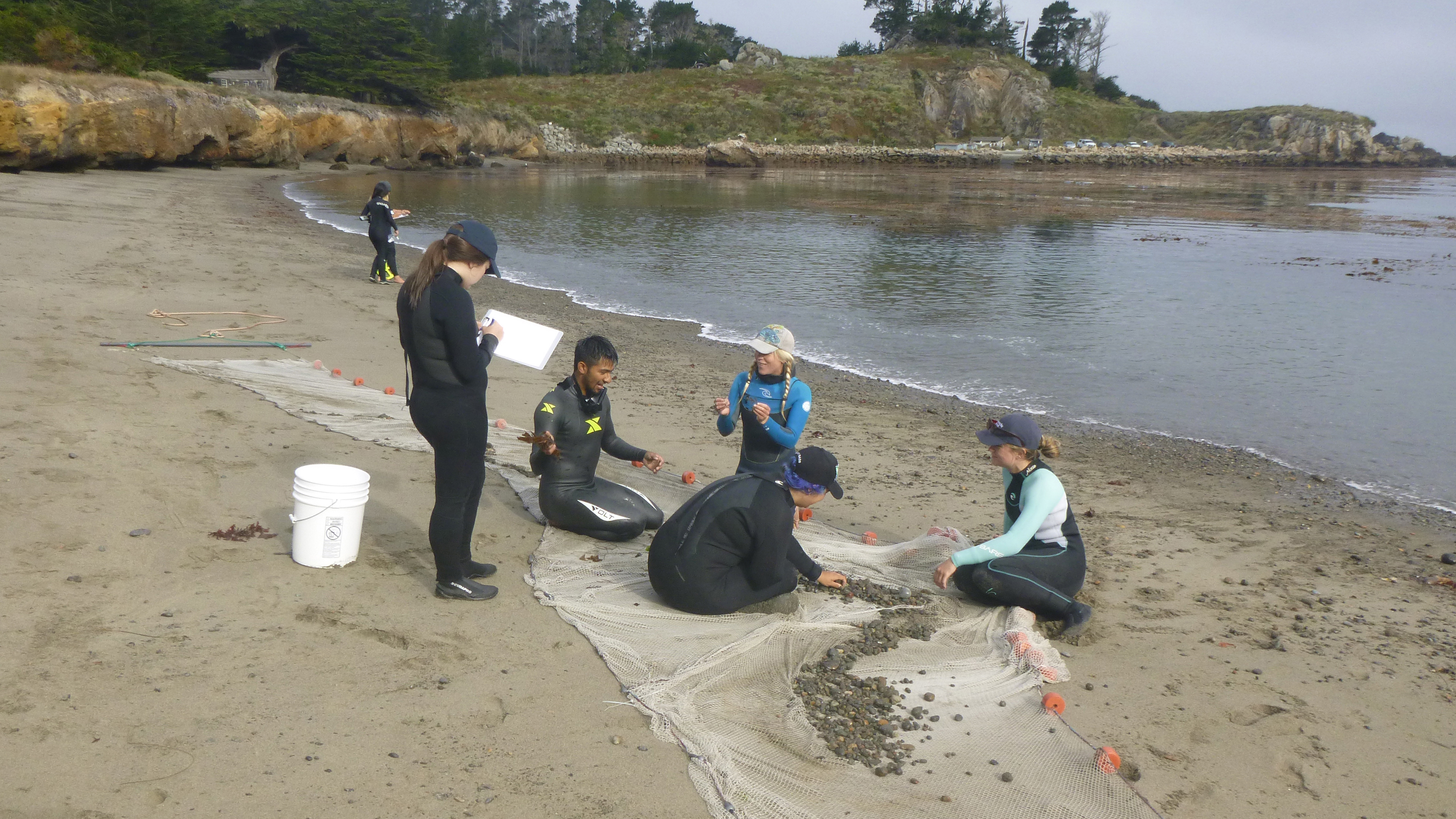 team sorting through seine