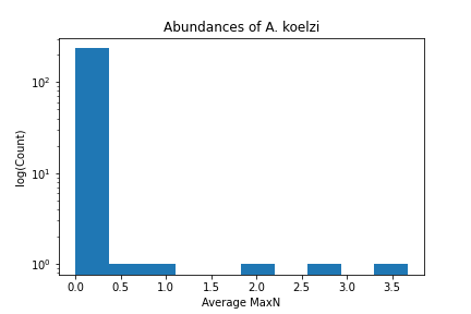 Abundance of A koelzi