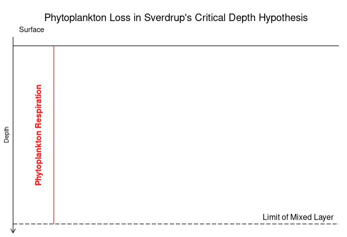 critical depth loss